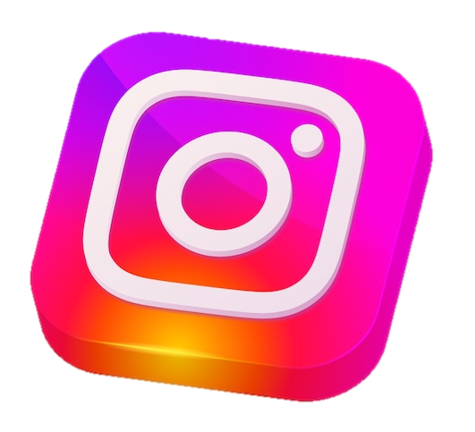 What Data Can Be Searched on Instagram